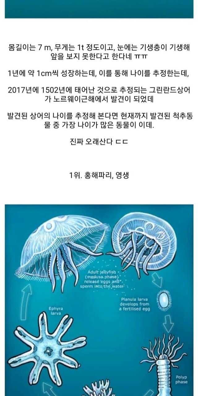 437b0f35e30d1089ef55b975f4477db133bae758e62e2c049bd2f424dbce2bb0f6d0b904b88312d381ab448d7166335f0ccec0aa77b3c07f5b14d2ef600c3395