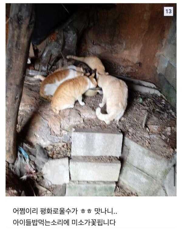 43e0ce022e239533f7bcfa2ee80b044bec19c165d74d0d070e208bf338efd3ad5b7e5e8c5279cdc4df216dda3e8e94f961b4630581d56eadf14ee2bc1aca6a4b