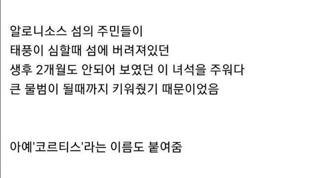 440980fd756871a46be9f4371af88305e2cdef84bafce3ed390bb12543005dd94b3ef0afe0976ec2129da43e7da015469d3899d8e90b2fdf626d0adca8627aa7