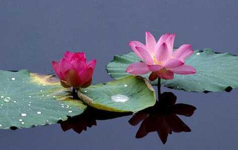 44790f8d78879dde212691c9181b09d5b8ba213b8aff7fee477bdc0cc3e6a82beaeba690f1d716ec57b898f4c4ee85f7cf41fcfd8628c1589508bedc8886f313