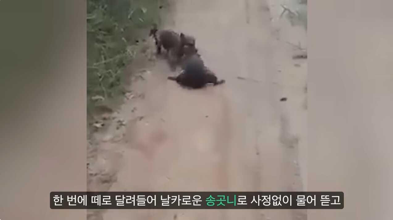 4563053e5358450b914bbd7823ad63aa68d332bd21f3dcfbcba55d87190542c0ea6987544d9b24f09083eb7c59d5b55facb16ab4156dade681228b7496c0a9eb