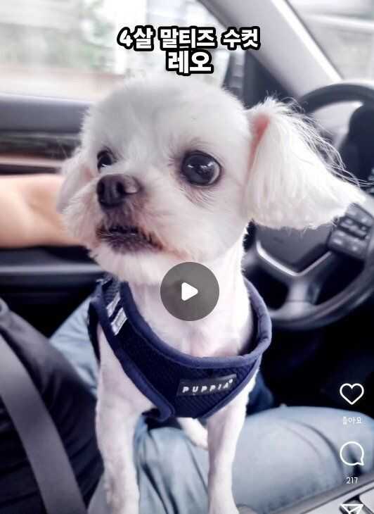 45e42d03d49c7f85d07a02875aaf7ac7c2db46c518fe0ad31d2cfc3fbf51fc0958baafe76a1a1edabaf0c98593100a398a1aca6e5a4beafd9d406f526c16d629