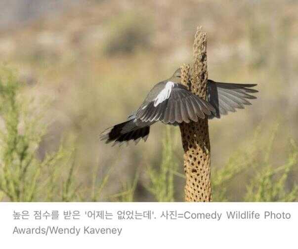 467589d738f7e786ae84fc100f6373be897d30f481bb3feb67f002adf7a49f1b48866af2ab6d2d8df7d327603aa92969d684f185d6ef5f8dd47973da984c4e81