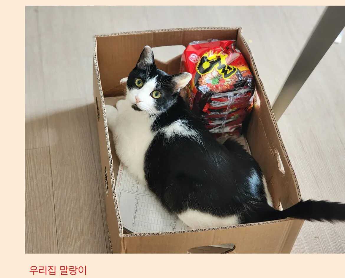 46843872baee1684d87e693f5993183ad3d93055a46147c97048f87fdae5cf68a47381238b0591e4c8c73d1e16b8e5bf2917d32d47929d2b1f60f3a60a1a8736