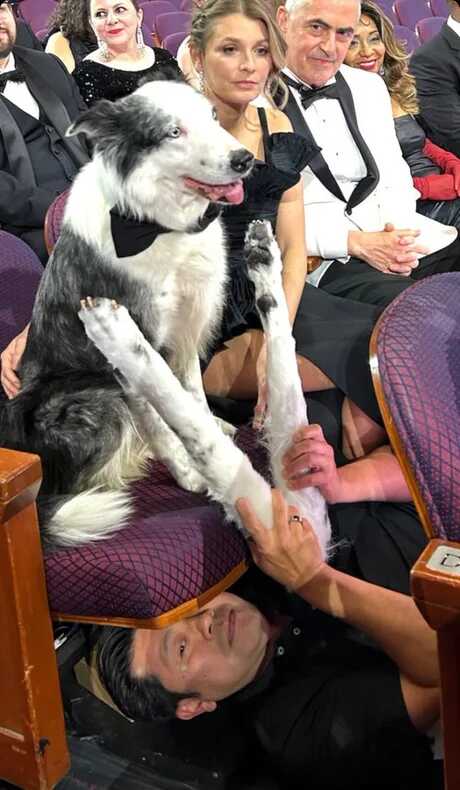 47e87c82709373c3891a2f5db253408ffee07777a61077fb5a1ef946414ebd207c02ce3169906a62b7de46ede268f19b1a19506937b05b41552567859e63f3eb