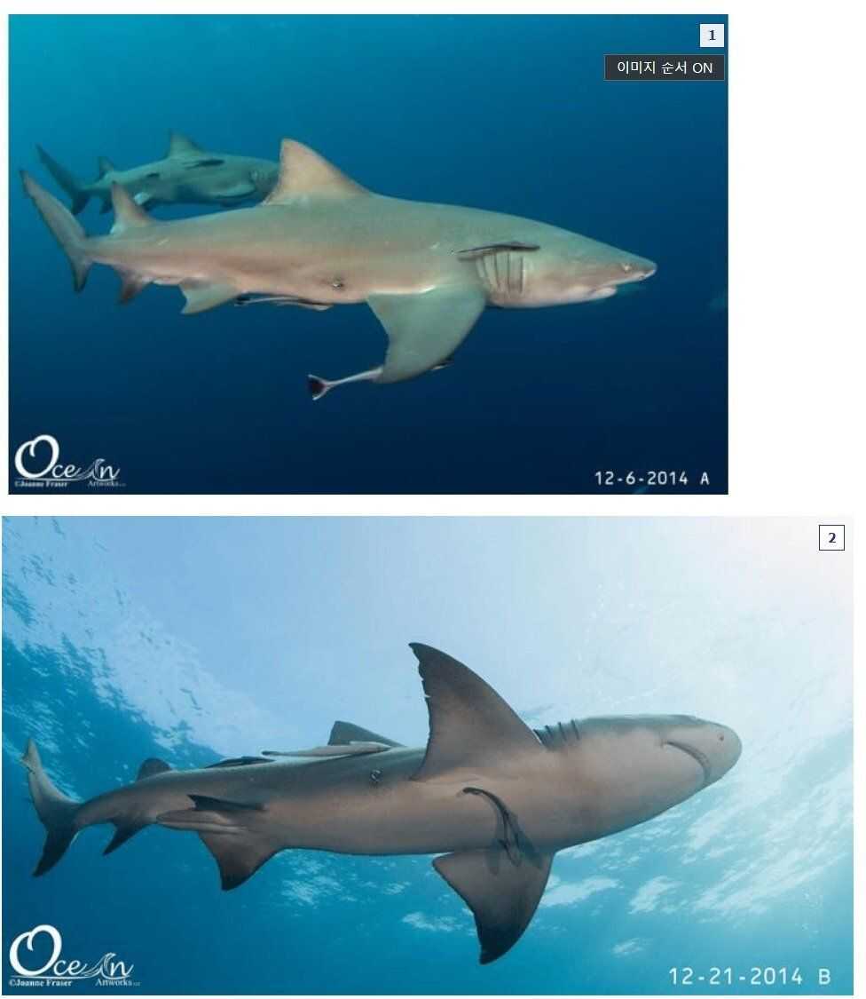 484ba17f825104aba59ad022fa5da0b24654faca9bc383902aeed242bcb6dfab4d44edd5908827147ca4f09bb9b7318872a20a3b211c419f738ab28f56335d95