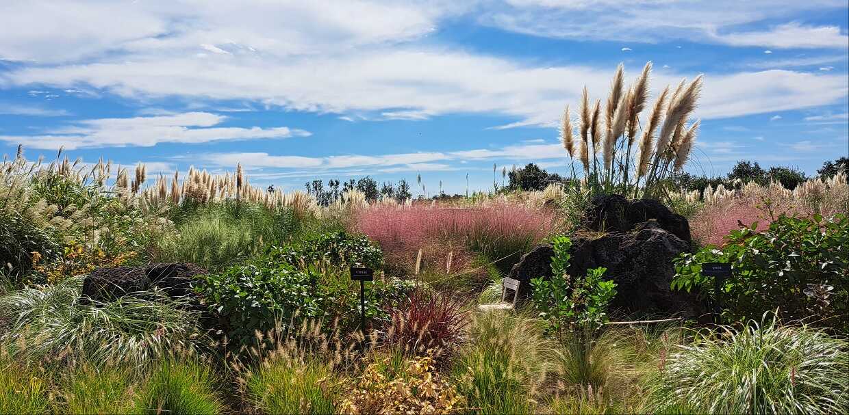 486d2ffa5b5a9cb75a040c10d410fb971f7036e551d4ee846533c27eed2a23265deeaa4c3d8d08329ebbbe868670199e22c25e2b8a29666ebe64eb5293a49086