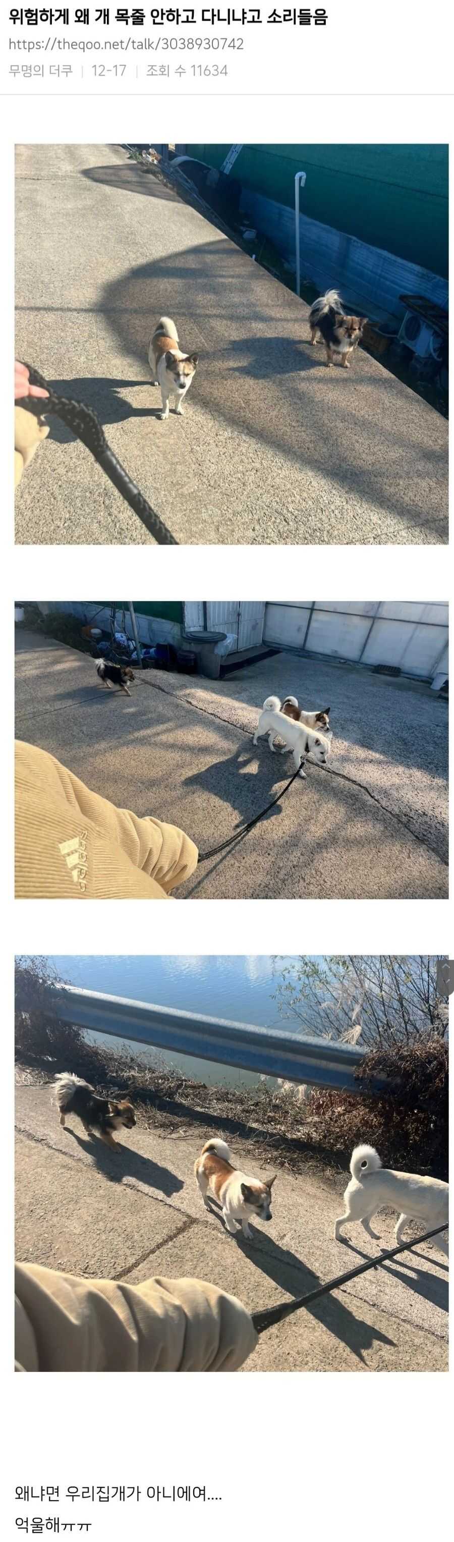 495cdde620c34e9093c6c2ed0fb80a93a42c88cabddd009a2564c7f6e07e5bfd5081fea4b716cb5125a0b5cae4b6a649de38d3e023279435bc8d2c8eeb06357b