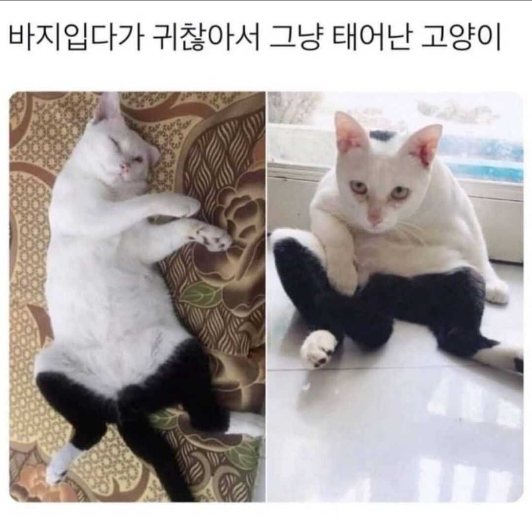 4be8c46ab6cc9c570b318e4bbb44f04255220dac3174bc5b105fdc842dd2f626f5ef72d2f7fb9f47c76a99a24cd46fa778977c78f53b9a3c3c649bcf09a719a2