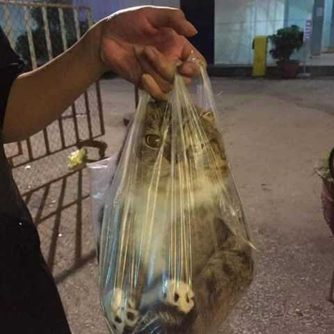 4d1b85325d413ae57c158fdd06c6839e883af6c97eb82b35490939a9eb9e789e2983dfe967c5d144e95a86194139c4fe3a36ebe5a7d74c34d847126da1e395e7