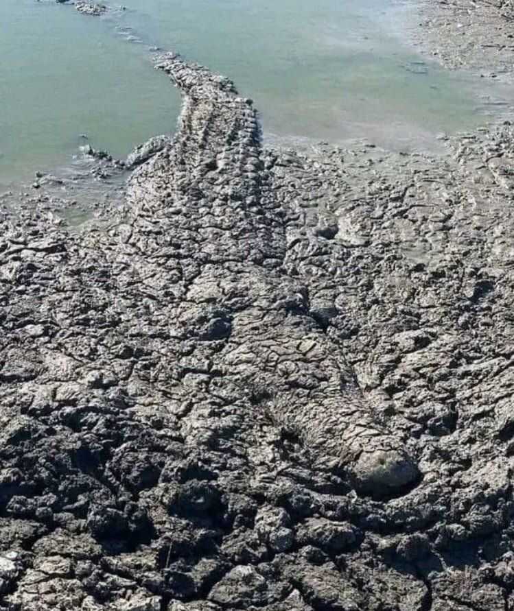 4d86de6f5bce1b677b8022bf29e6aadd99f36c24084e875d88f52fa06f63e294f0938469158bd58951fc3bc256974ae4c2f09065cf04badd367d65877711517d