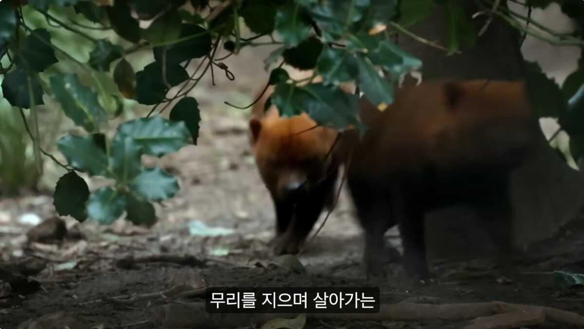 4e46dc58862389162ed87e83766aba9bdf072259b02d24ec41c7a6cb8cfdbaef922f48d13faab179cf28582b9f59060b4770fae86c827747d4601ebfe2e6cc6a