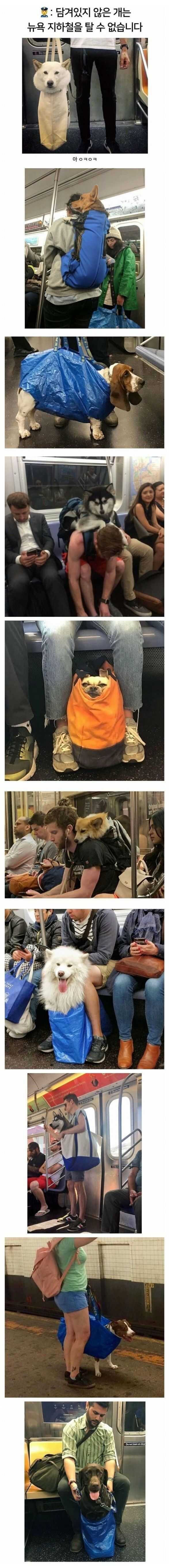 4f3fb13a01e0e2412e7a5aead6f9761856b57413788e8e8e8a076249f6ec98703e8807cb8e6c77e888599ec3fd94001ed1fb6369ec732f91388d92e6924dffda