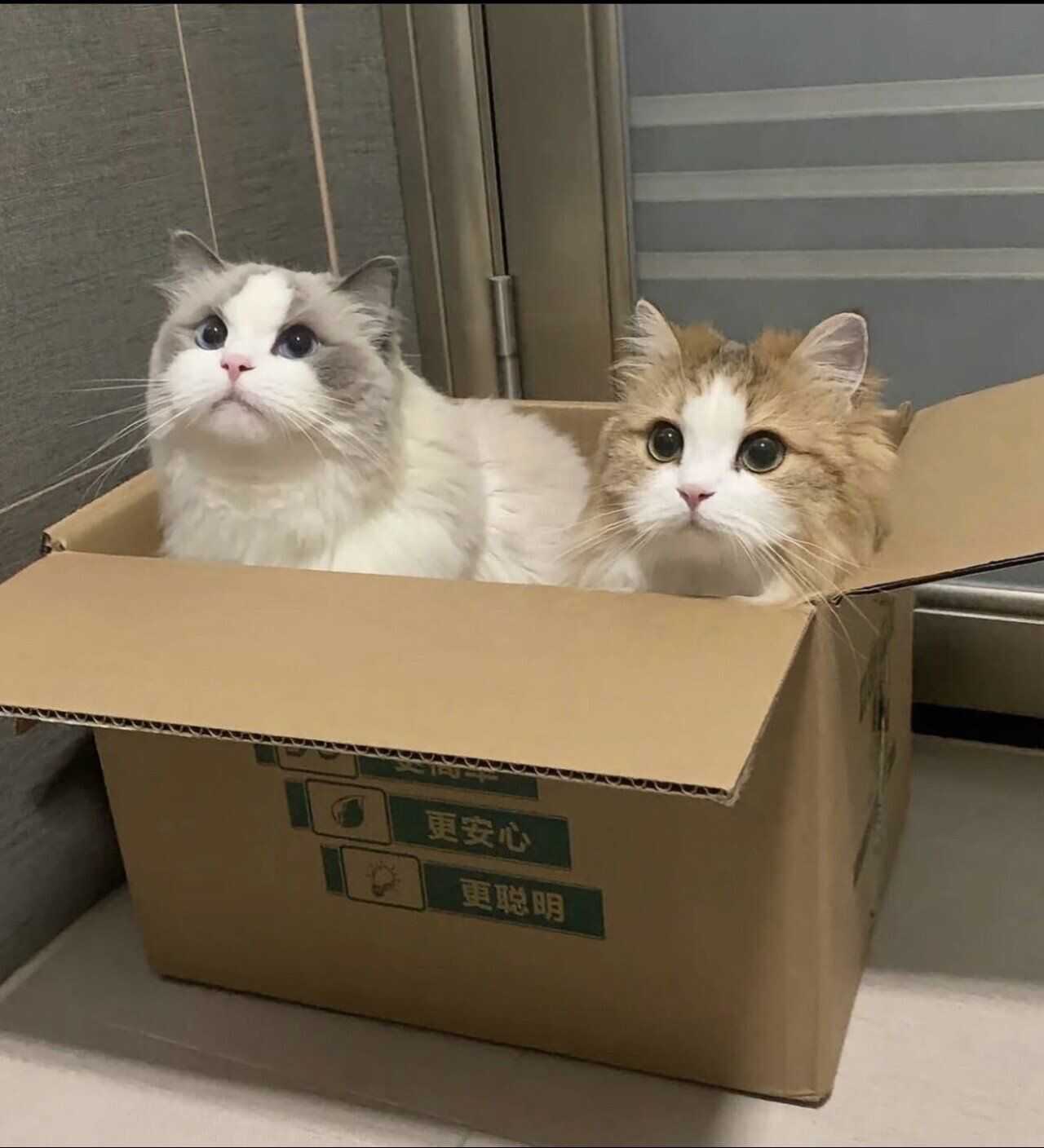 4f517da5f9cb7fe6f6331675475b9a96ccf518d1b73de5daad3a29f4fa13a9ec7c22da4b9faeed1040e0e4592263bd363cbfbbbed9f7855acb652de7da97ddba