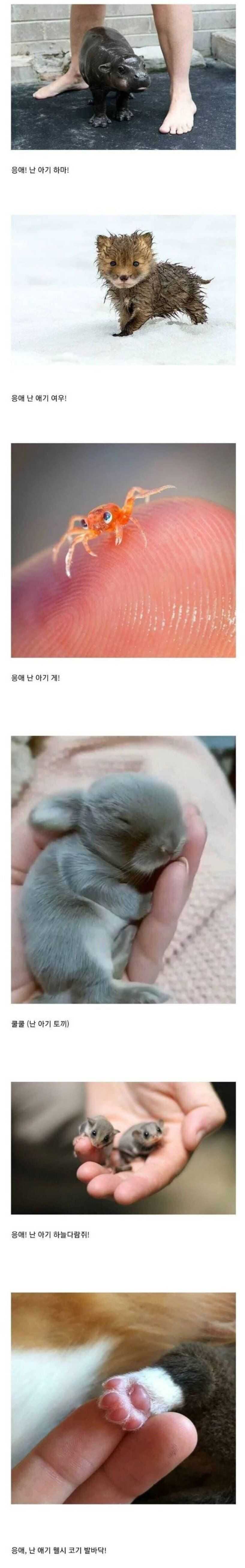 50926886c1378d5257ff4aacba03f37b491398a3e046eff36361628d1ebb7181671c5317ed957389ff9c8c944acd7afc6af50ce05f64c37cbd93a31efe5ec55a