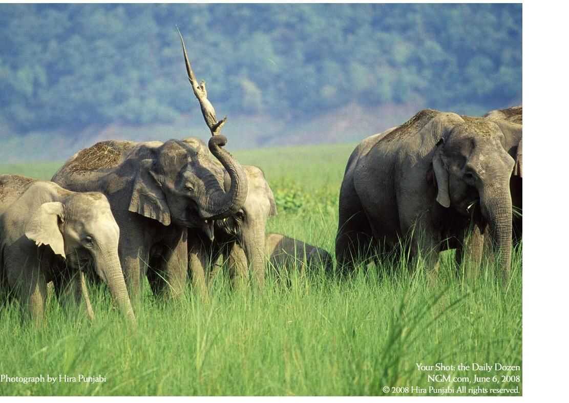 50ae7a4219dc62fc35d8e848d78ddec6d2bb1d9acf4148d76dcbc56d02e9c42a99fb33a15e47aa0626222cbf4b592b82a0bd7ecead9e1a7e98b2390162fdb681