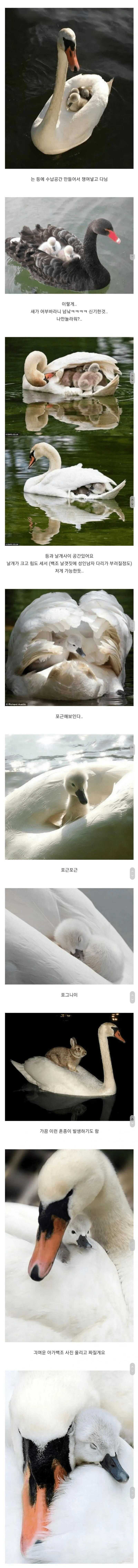 51892381b7d9f12d376a212ffea03846257917093eb68741f925710d46e6b915673542010d95ff2fd7716ea7f05571d78933cba60e6ee445a718eec05af7b2ac