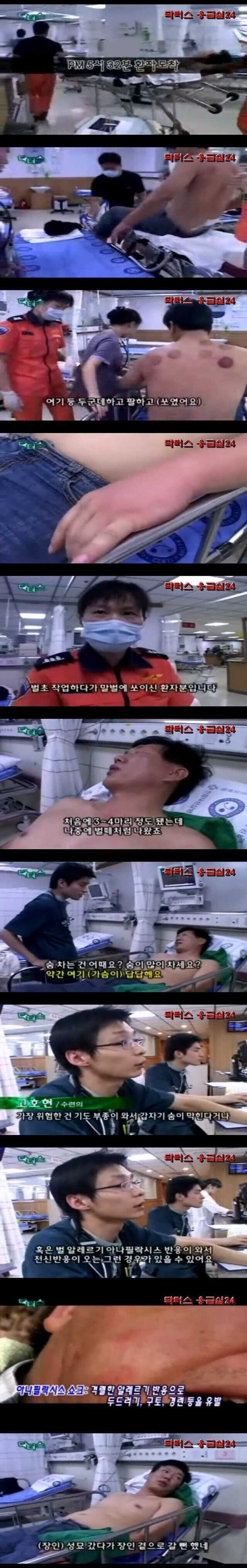 53227070b16962a686b9e74243af502eac44e0e2fe0a6c50f561c3a95802c13401eab3b29affdcbe83e528c24c8fbe4b39744e35c8591a637d5c1dc0f13e5b0b