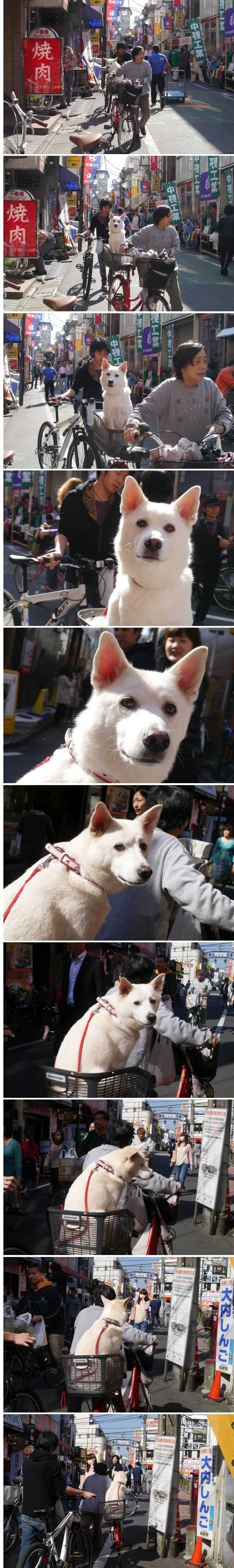 53724926377a85aeed20f91bc3505630a5b59846b674b01a5b12ea5bc916894f8cf0a60b731aef1a5102489eb82c3bd554141d566c18e9ab568931e3059bc846