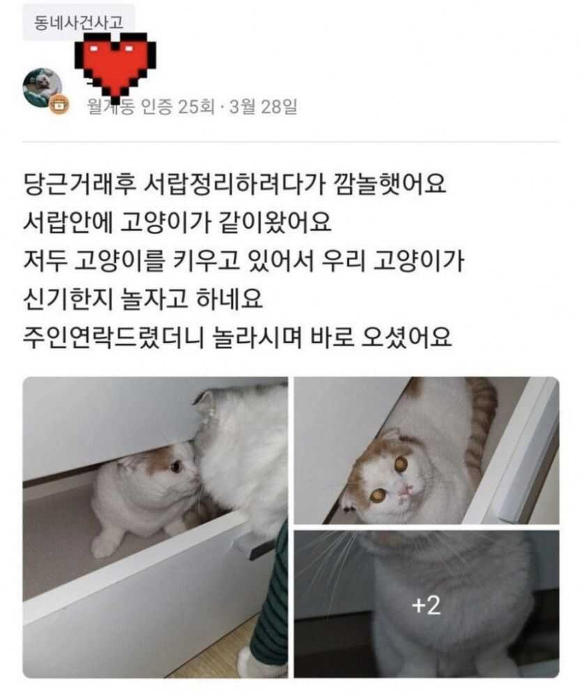 54e825e3973e94537d739df0f1808dffa685c27126ab44138471f6c43617815da13b7628e712b299adc400178001d8e438b8e47c630acd5de0a8b88ed08a670a