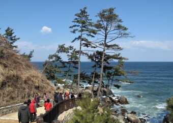 5620bf316ba1e209fa13a591b7eca4e86bf1700ebb01aa170f9973c0fb15e955c73de784fba7b50989ec05329b77450994c7b3afb245fd7c7126c8b4bd427127