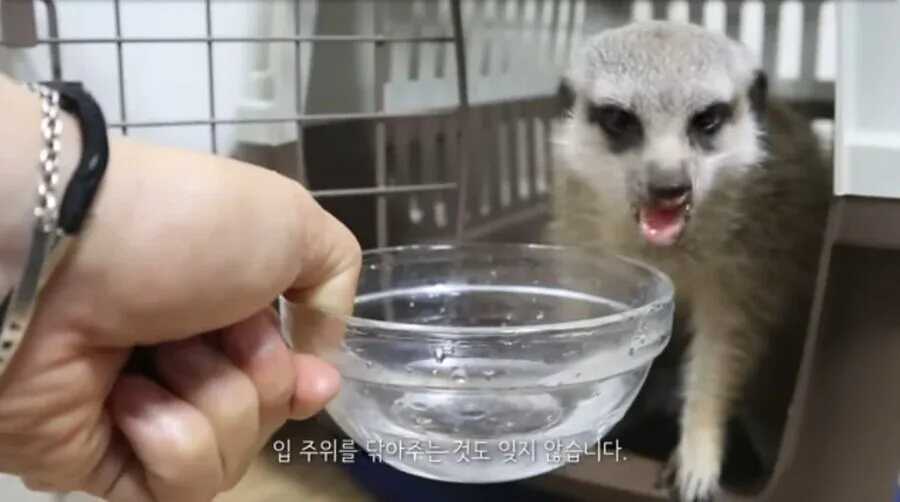 56570b8143db799eb502b2e80edb6946d6d40aa30ac083055f2748157006f2fdf12032eaee6b49647558b58ef20b417e541b69bc989a4255256c24bae83b9365