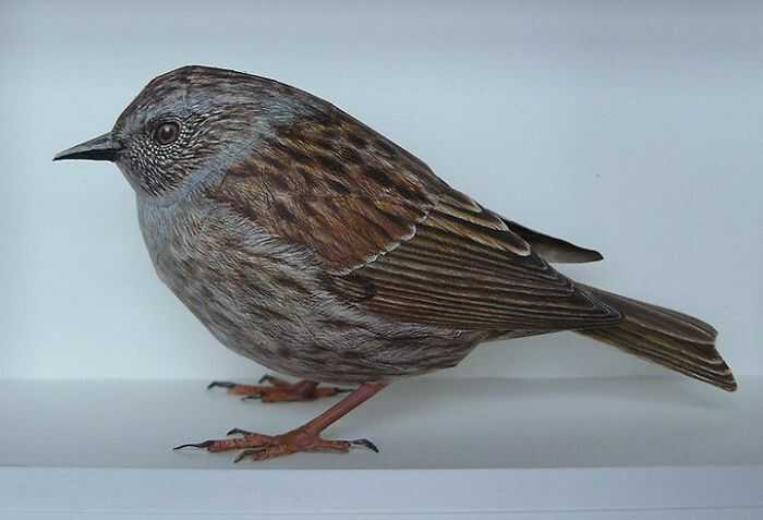 5657626b309cdde2595f099cc44b16a06225b2ee9383f4c2523658febeac77232854367ea8a9d8bd97e8c5f42067127d7d4dc49f4b241657b0046992def5891f