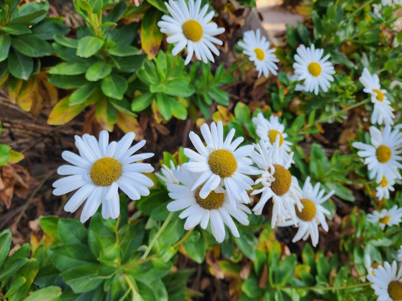 56a1010b8ff15e8ded9f9b3632c29f5756a806d47ccc6cd3de3953195e1fe5ed2f6abff4aa8aef5d739d21d7423bcd475b35181f8985955ba43b7d9a5d863384