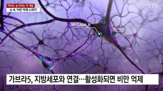 57375a5ab03561bf230060928f2f2afd4756965c8e47ed5cbc55bd3d4a0e900b3bb7176f4a351a927f61cc7031c7ab295698474b694b03de77b05c2ae48862ee
