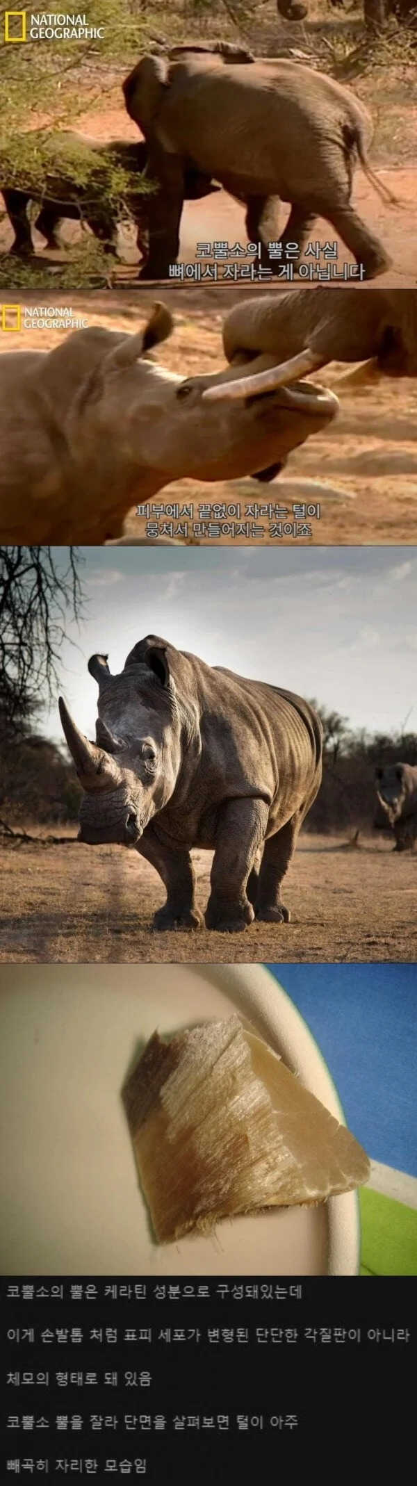 57bc6ff7e3ccb201a717e69b1d4b96d13058be9d8823f29ef7b54a6b87afff4a53ee41e9c3b40db51c6bbaa47cf2ab900ab0998054a7dd1d651be5881ca2674d