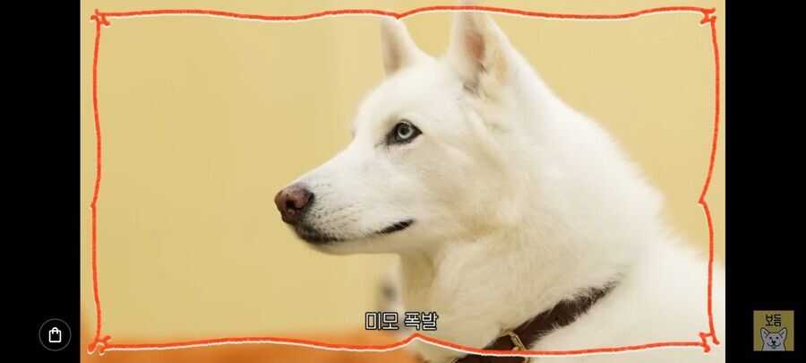 57e6d841b6cbad0906a9ed9323119ac3660fe469f9e967448db21a8dd03d1487c4ec65417b3264ad6ed0fe3d506cde729352bec8b0a15e5dd109cedc21e79265