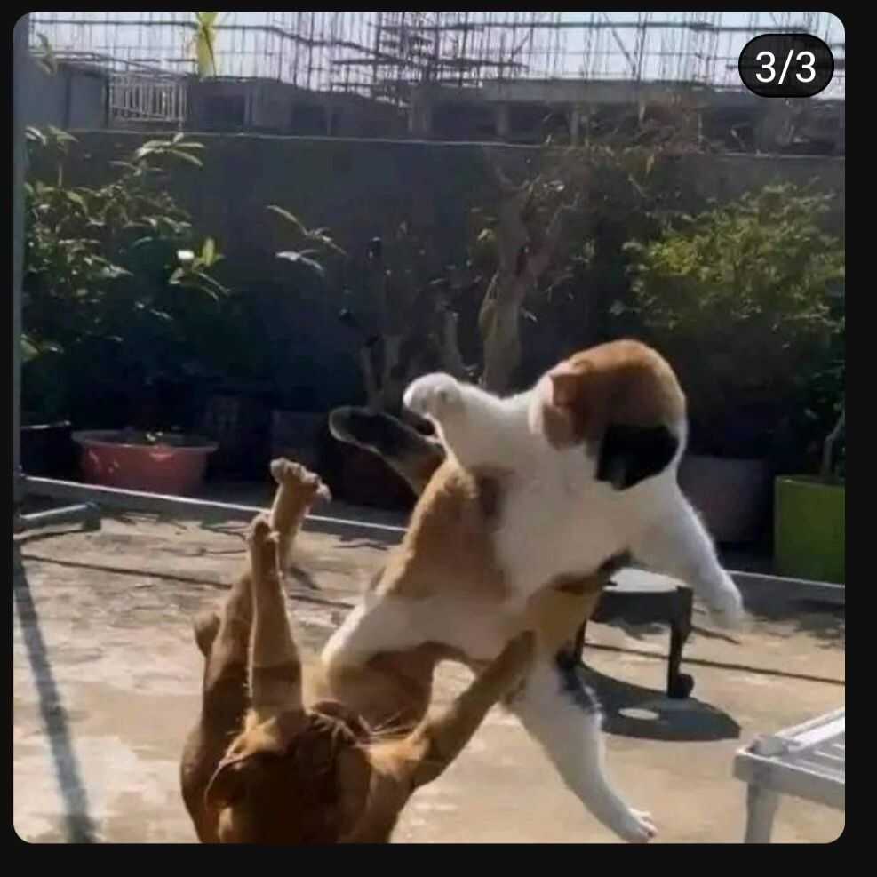 580f537518d3809005d05e3dfe886d4133004002b3b744032b88dfb72d0d60f8fa6122c28f8daa2e06c1842927545301f8ac313d202d307ea8de6912706a01d6