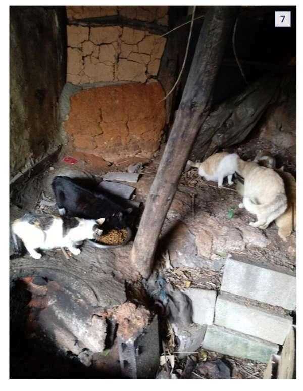 5a061fd962347bf5b52c12bacaddee215b3e534845838f04882605b20d7ad4a48b9125f112d187ce331a4717a673d3da87292a39f729f903926f5cffed353fac