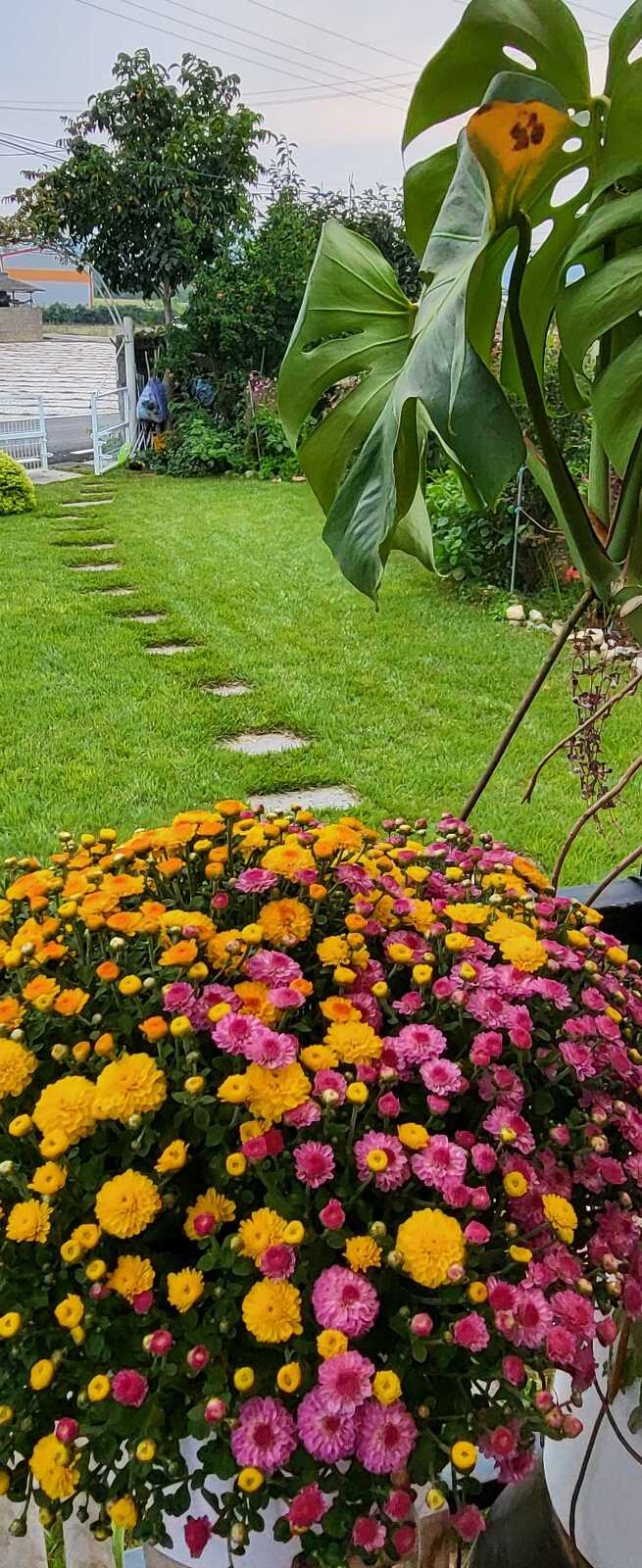 5b175412a522e23873b620f22175831ce435f02d2e36dce692da88ab0145d143192fb361aea8cea15d2f437ed1a22e78947b350eefa1822e8f9362e3b88255dd