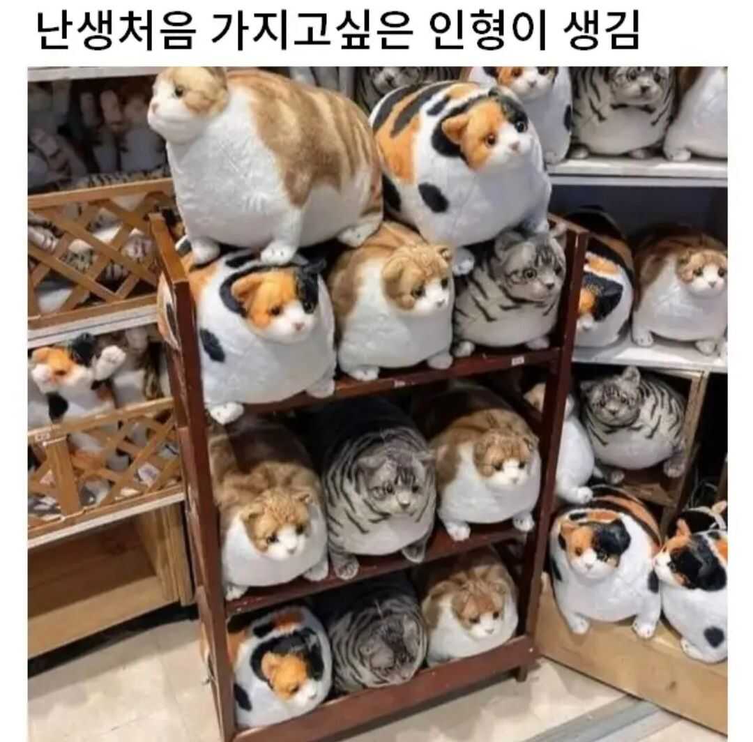 5c86567189d5b66d96d6e55d5f4d2b04c0ea5c8f9322ffa0dee8b17d0fff76eda49c8515808f5c6ca2cde6acd7d1aae47685fb4f7cfbfa272c69804c737d6608