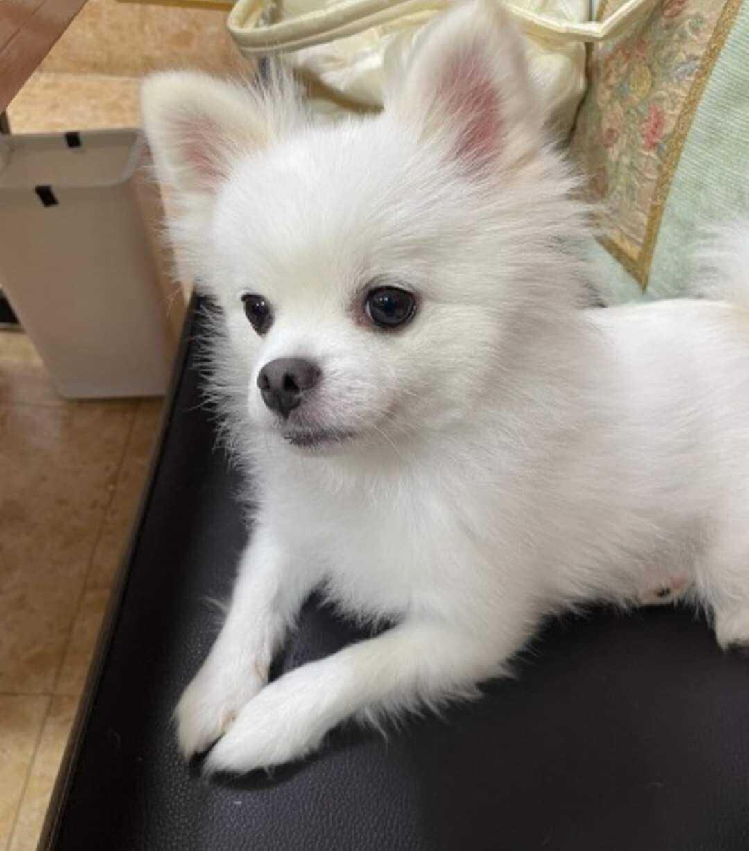 5ca5537117fac6aeb71365ec7c8daeaf335a13dcab4d51e23ba703a35b0bee35db96c8e061aadd568d97c3af17add2bd413b13864d30fbe2f9d980b1bfb32cd3