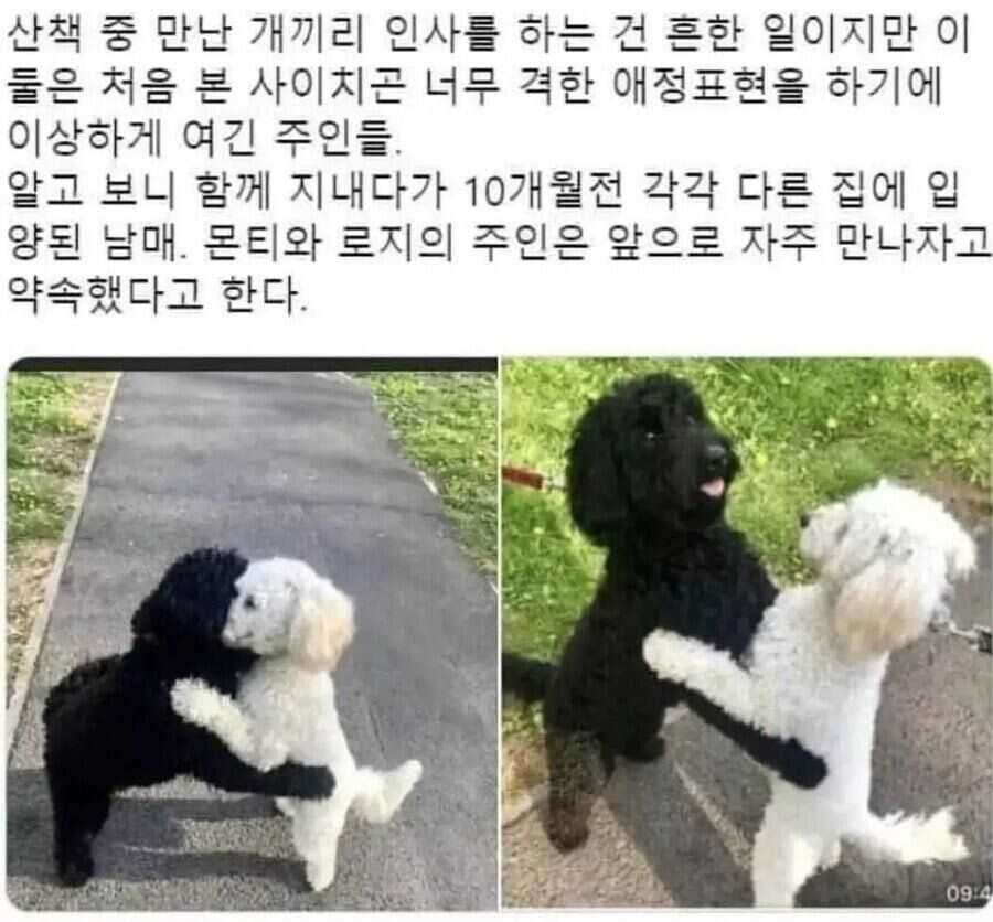 5d7ce5c8c3821999426b8ce9be3318a029328b1e8611847591aa52be10c92f03cce7cdd3a2538bc5fdfacf9f86f3cc13c3583fbe3a9829cdda6bc1c4c9b598bb