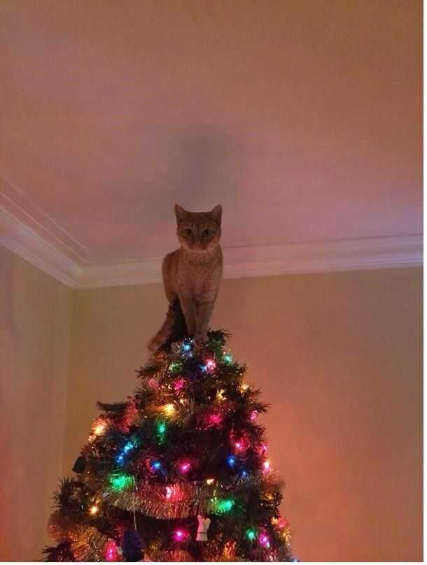 5df94cd2308e2550d21ce06fffb7aaad75fa04ad8d2608a38c6d7f441ae1e58bc4e9553bb05007419b1552750beea12f2c2c7483fa459080fb27f3feab8eb40a