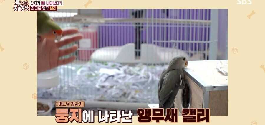 5eadb557eb4b7e0288633d30701330dbc091e2659b65ed4f1d34c949eb3e2b2363dc5ff1603616ac2f5203b2eaa42c273b32507d6dd8992d57b39f74b86cd013