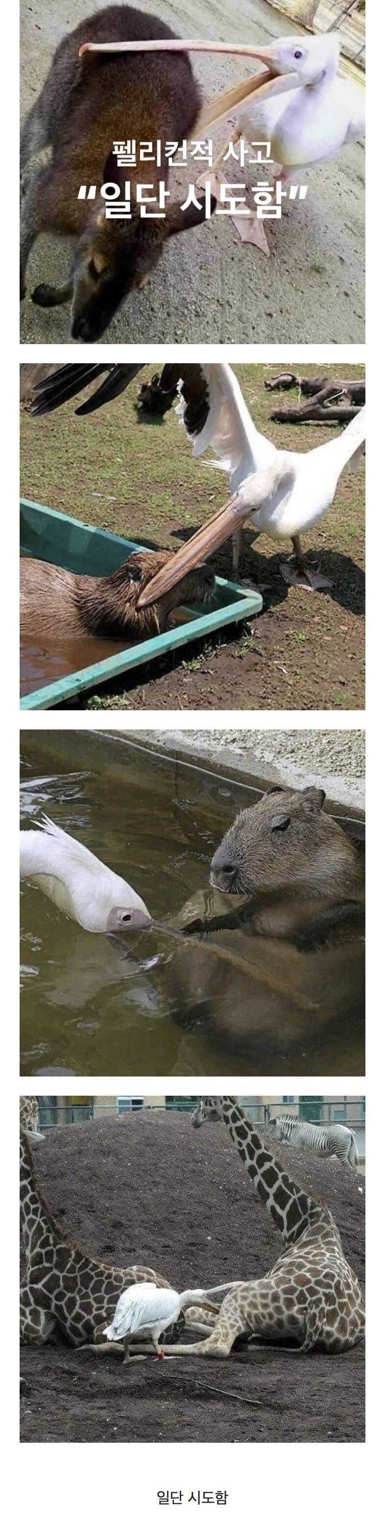 606e080deba342b848e9e8e22d5fd9c83a0874bc68e25a6d831569cf6c0c1f230ea09bed700f9020f7f9910205e7fe0d0bf0fe0aa105a74d258ea2f52c1a5b38