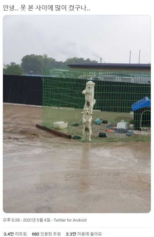 62429461f59f9b8e3f205a75f5e3554110341037541c921e9e6b97d7cfcfeaf165b5ecb0dbc3d47e4d7a3b326a8021ec9b75fc8ceb9b1229001db5f203af1b86