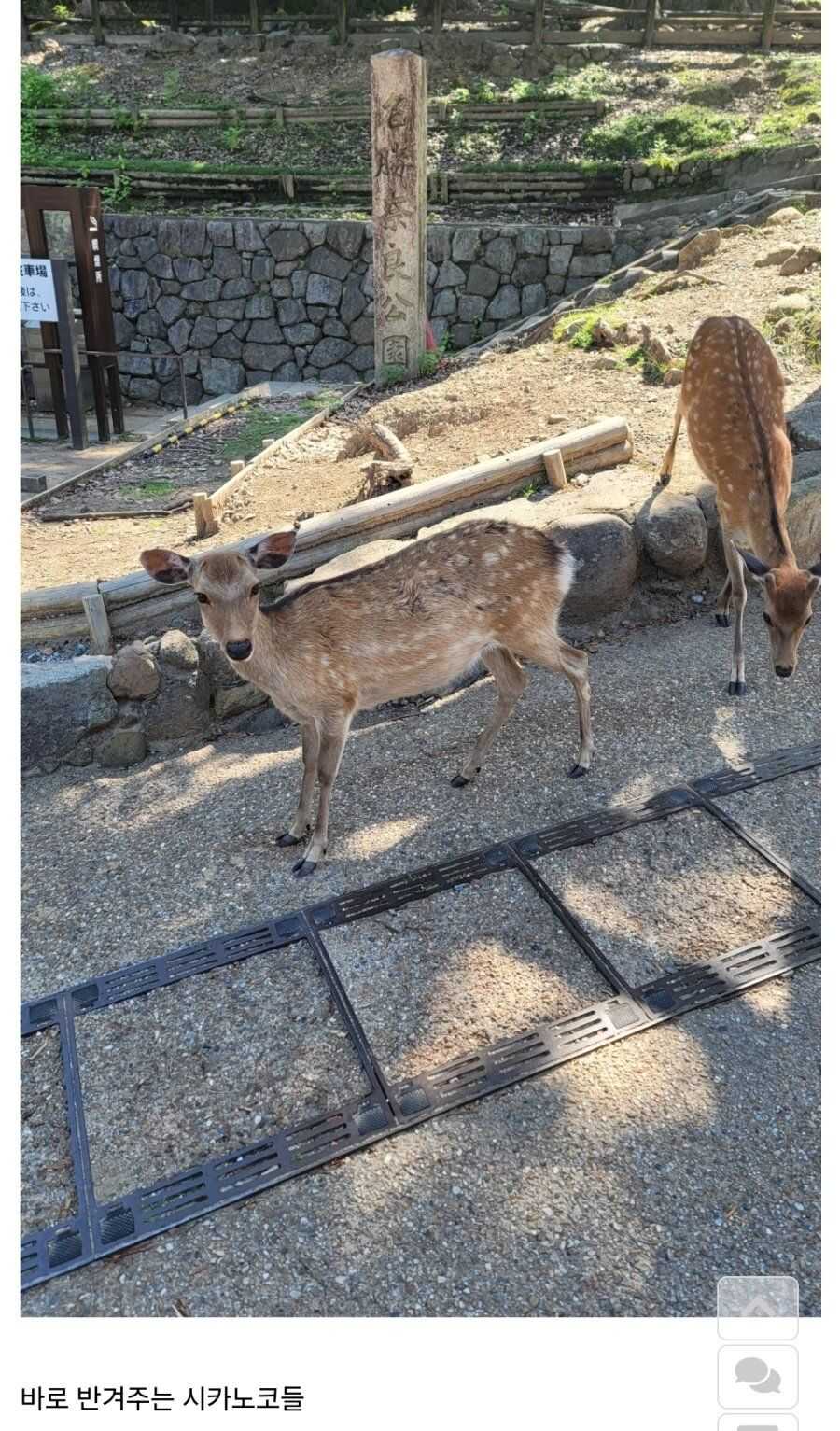 6281615d2f25edaac1f6dbc48c1c7d1dff6fe719f9c731a999d1f9171bc1dc2b6f5aa21de9517b0ab98bc2e7cfe1bc3d976d68188a5ceb658e8da3e3ad4e5219