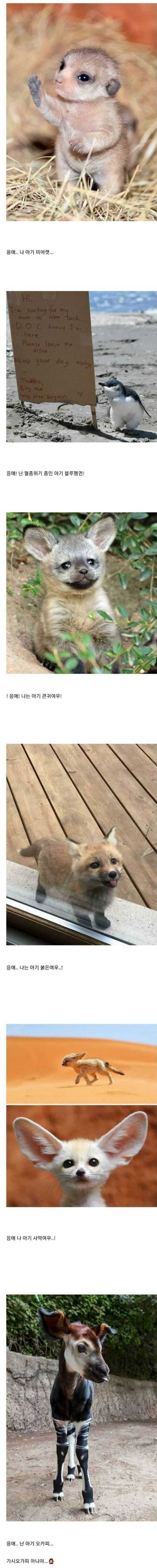 6283fcedd8c9167802838925cdab1671cbec522b0ce01d4137d353b3965164ad82d590388124a7f7592537ec782ef678b10c4af5ca0da419d647a6a94ab20a25