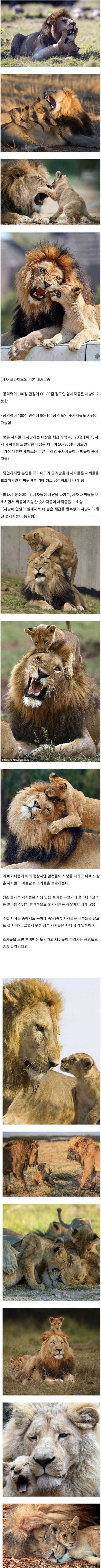 64f1e2ba659bd98f1ffe5fafde856da9545ea1bb0f950c320b77f1345d9dd461c1b33e2fa071a8b122dbe3b35cb6c370baecea3944a345209b5fa12a34184beb