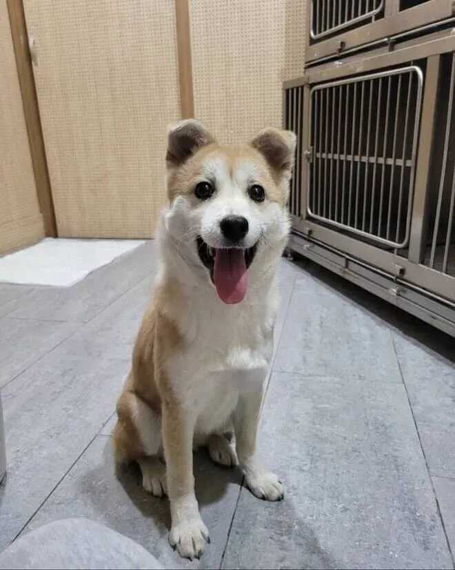 6543f9007950cf11eacfe7639df0fb5ca2935cd1b11742f4e2193e80240cb5fdbe8893fa4d58a9b74560b52dc9707fddd362c1e33d384e2cf97389336dbf81be