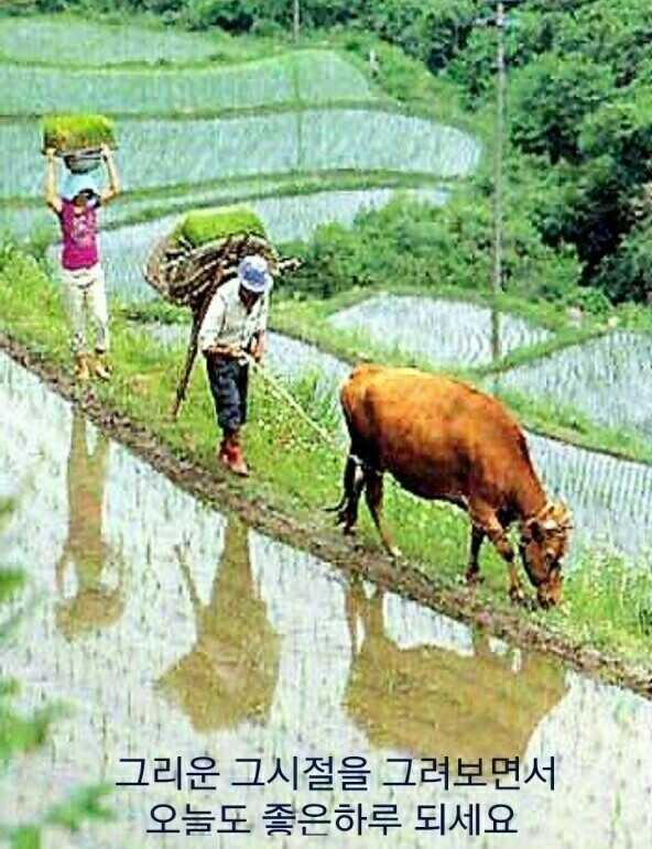 66d98cd3bff1362ce2abe65f7a70414d9a7750af3ffa34feb11cada376a88dffc1ba2ede5256b3a43f446ed4ca437963d3066c4cb63c73b281c04d5887e7f464