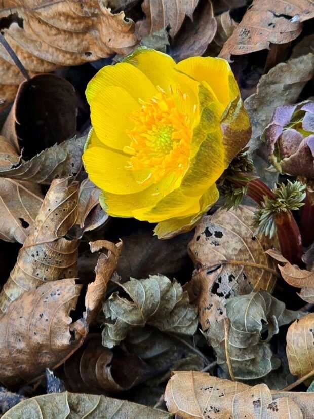 68e0187e8e143cfb9444324f4c4585e9d73deec85422e5924eff386b8e0a72d8c59c9e792e89be97248bb89cc22034c0b9666b3c90f02e476b90dd60455ebfd9