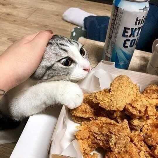 69752df671502a40e28f71b98fc6fe6de161c81d5a5ada2728882b4c257a55016497475e1182ed068610972589cf2bdb52696b05a99ea63a0dab7d61ba2a4a9e