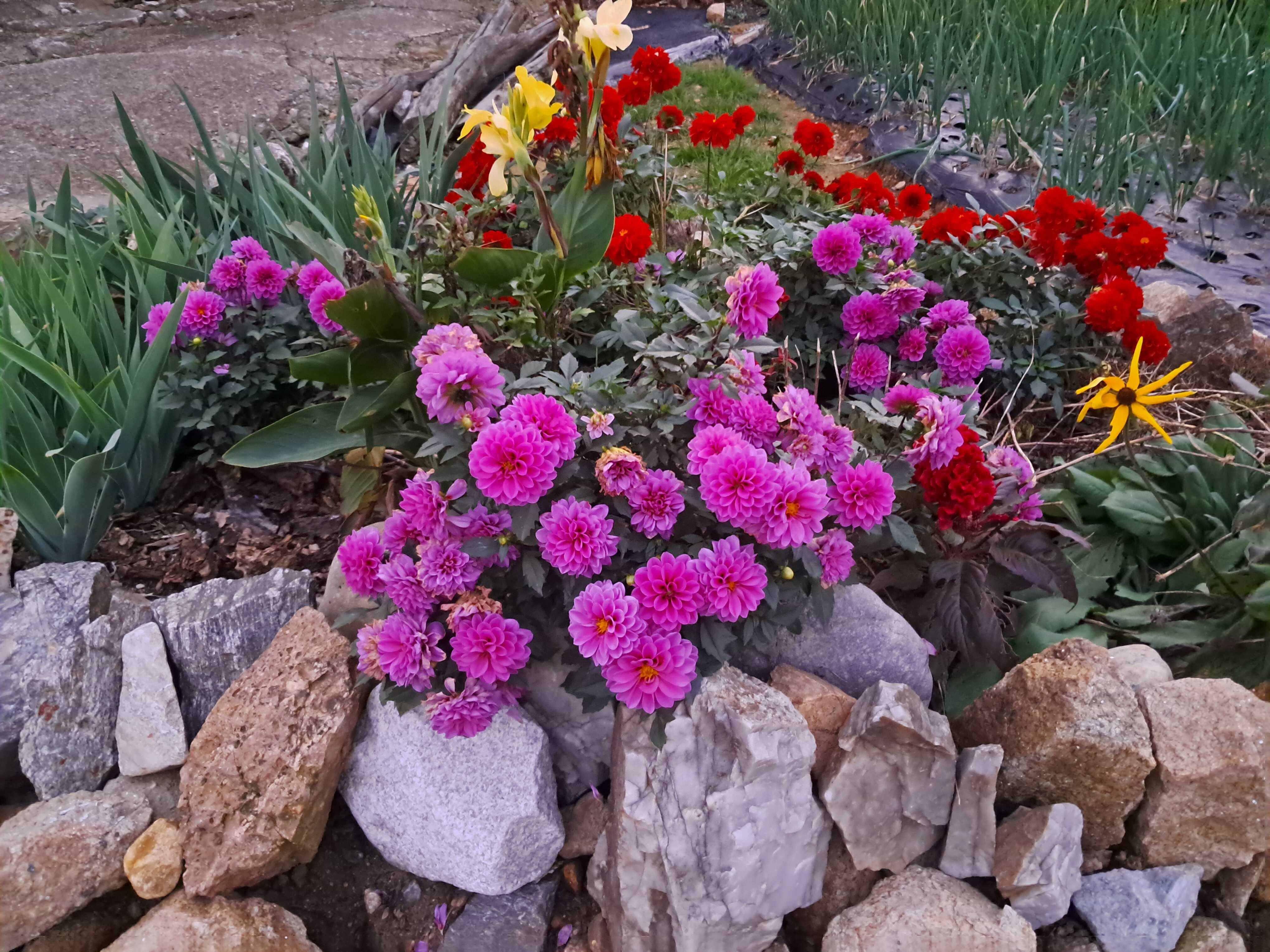 6a470293fdc14cec5a29160eb3e531545da99eb6cb41df52546ec408d656adb3a08667108a154822955aa368a509d5a8be07eaf89db6125f7f7b3de7b99f1e4d