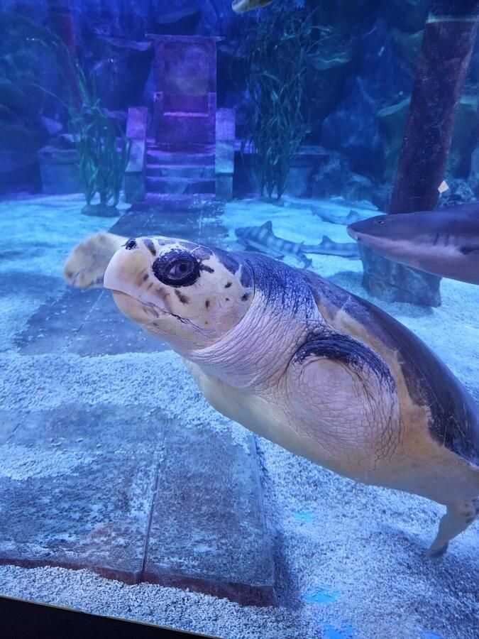 6a75f90e055aa9f431e82615b110cb437201239083ad37ed0a6eaf45d584a2254ae88f4ffb2848720442d2e6ab21568349ceb4739452e8a8d5d3b1fe1eb7ff5c